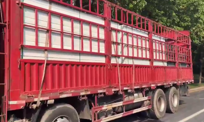 旭東PVC圍擋批發(fā)直供龍崗工地，2500米圍擋當(dāng)天閃電送達(dá)